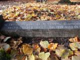 image of grave number 923243